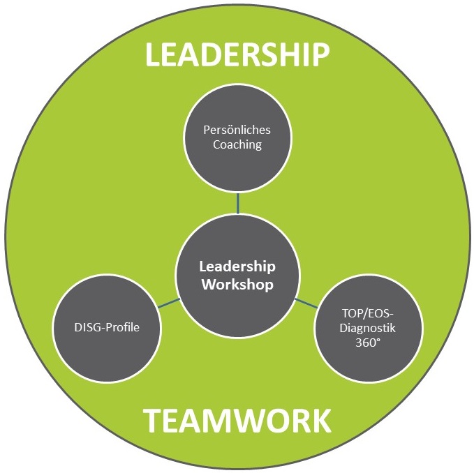 Leadership Workshops mit Dr. Holger Schmitz zur strategischen Führungskräfteentwicklung
